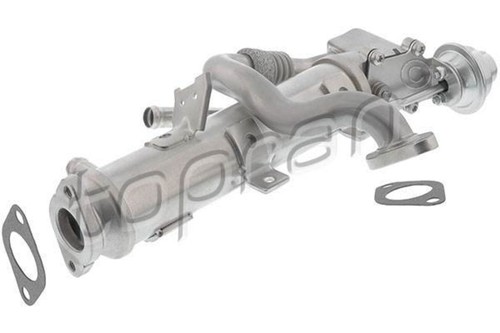 Exhaust gas recirculation - exhaust,