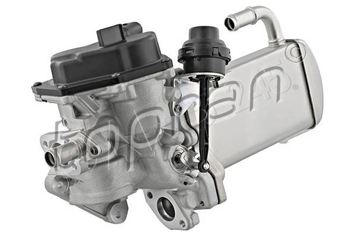 Exhaust gas recirculation - gas,