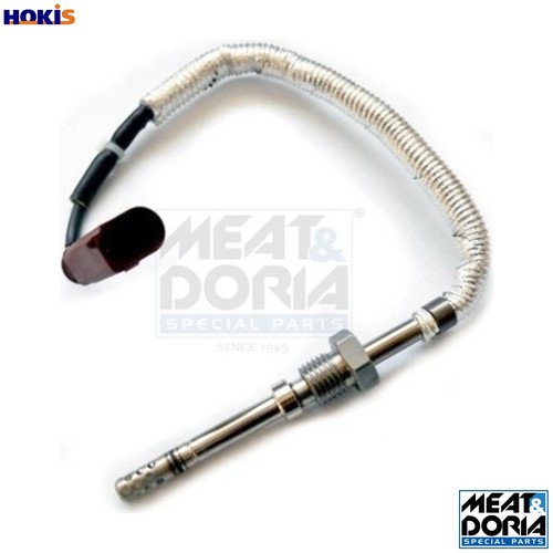 Sensor exhaust gas - gas, temperature