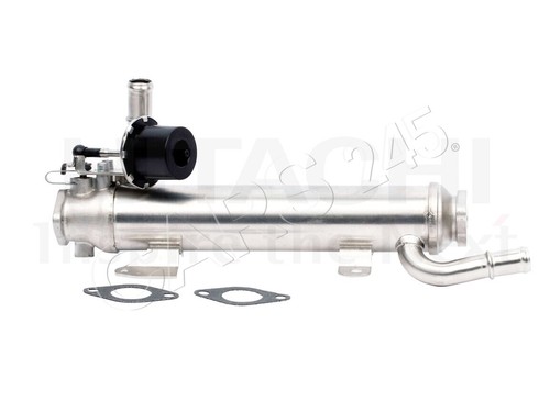 Exhaust gas recirculation - gas,
