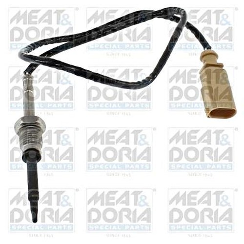 Exhaust gas temperature - temperature, sensor