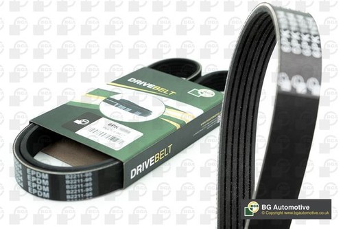 Bga multi drive belt - multi-v, for