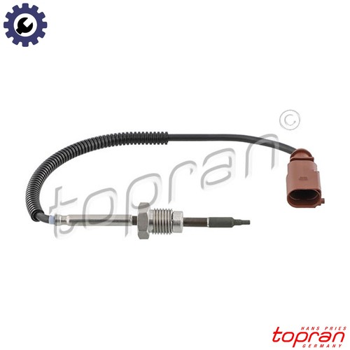 Sensor exhaust gas temperature - exhaust,