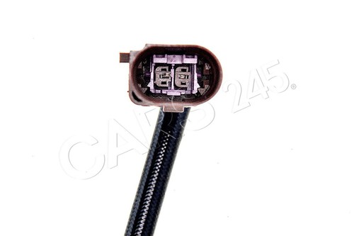 Exhaust gas temperature - gas, sensor