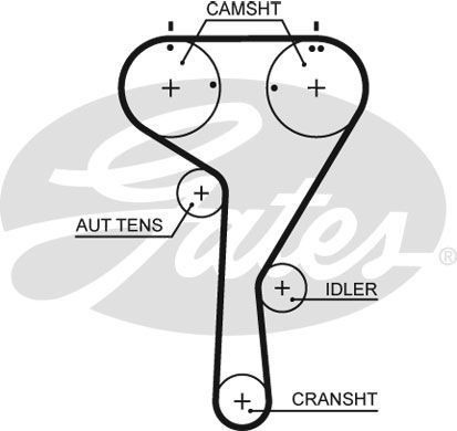 Genuine gates powergrip timing - powergrip,