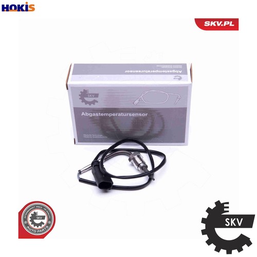 Sensor exhaust gas - gas, temperature