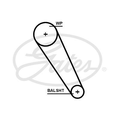 Genuine gates powergrip timing - gates,